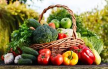 Государственная поддержка для малых форм хозяйствования